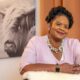 Profil de la faculté : LaToya Downing-Peltier - Doyenne associée des étudiants (Campus Savoy)