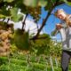 Cultiver la curiosité : La biologie s'anime au vignoble Les Trois Terres