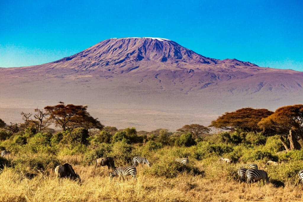Mount Kilimanjaro Trek Raises Funds for Starehe and Aiglon Scholarship Programs